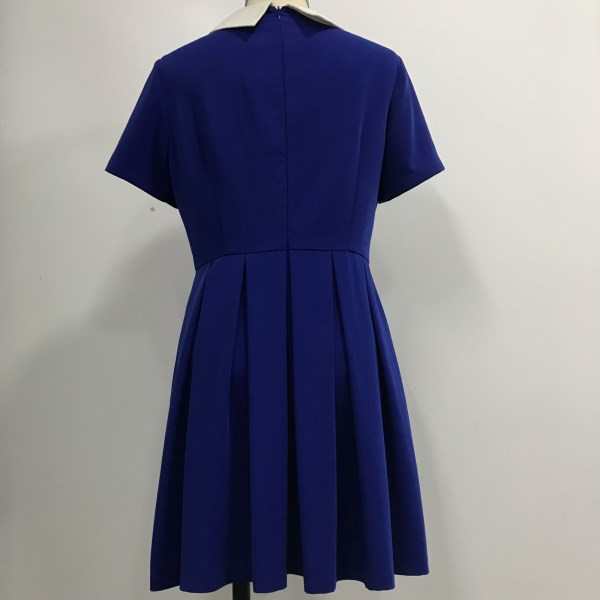 Short Sleeve Pleated Dress 2