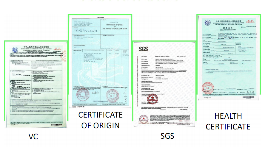 certificate (2).png