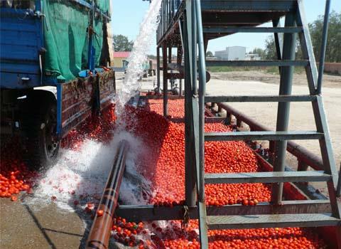 Tomato paste processing machine