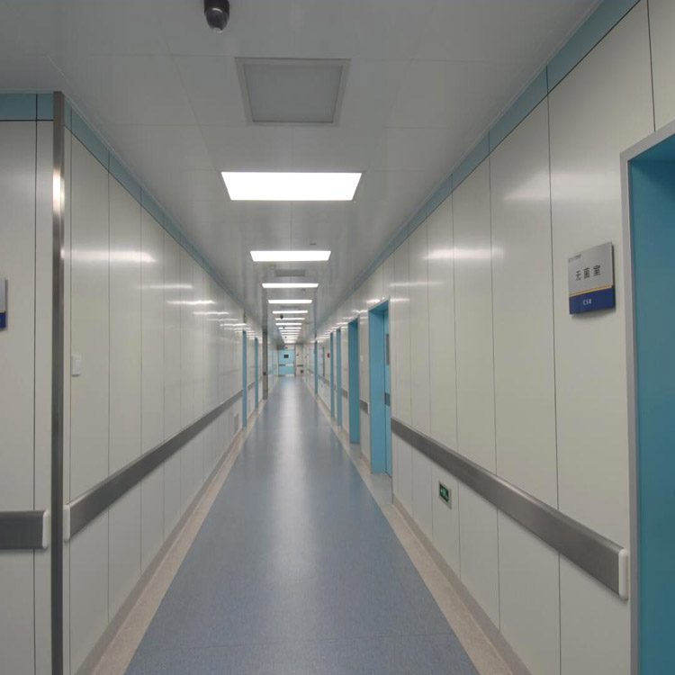 fiber cement pharmaceutical laboratory clean room wall panel