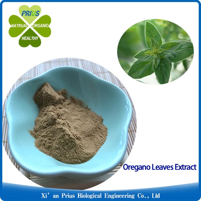 Oregano Leaves Extract Natural 0regano Powder For Cough Oregano Herb Leaf Extract.jpg