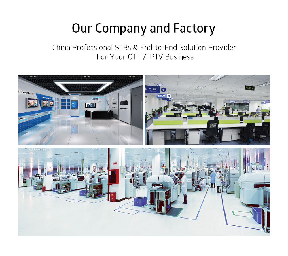 our company and factory