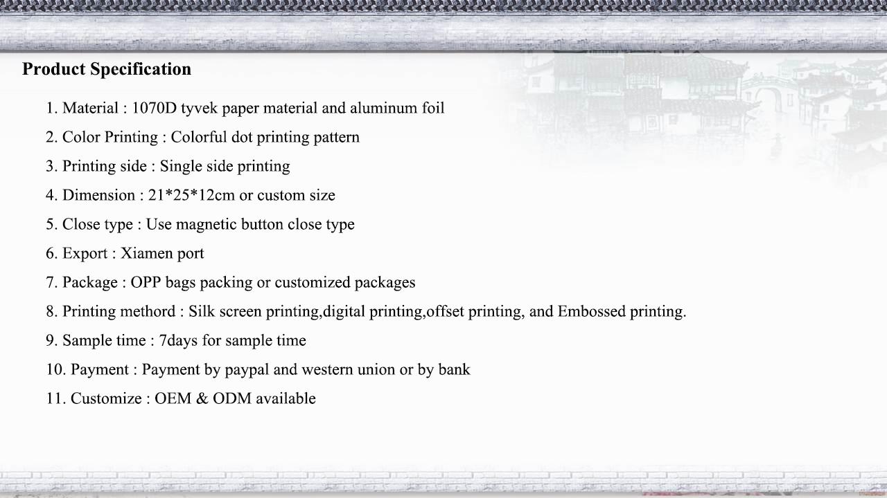 Dot printing pattern tyvek paper lunch bag.jpg