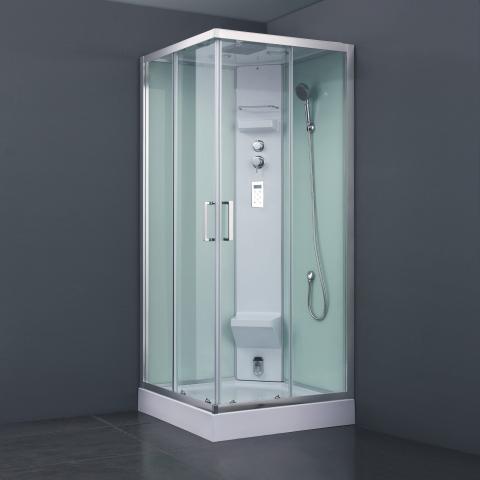 Steam Room With Hand Shower