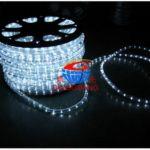 Dimmable LED Rope Light