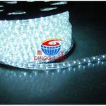 Flat 3wires LED Rope Light