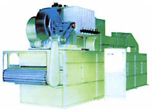 Dehydrated Vegetables DWT Dedicated Dryer