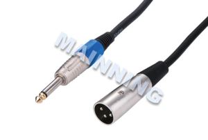6.35 Plug To XLR Plug Cable