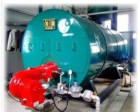 Oil And Gas Fired Thermal Oil Heaters