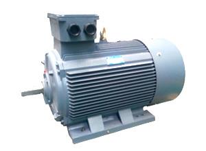 YE2 Series High Efficient Three Phase Asynchronous Motor