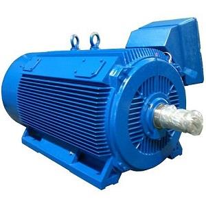 Y2 Series Compact High Voltage Three-phase Asynchronous Motor