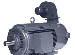 YVP100L-3KW Variable-frequency Adjustable-speed Motor