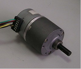 PL25L-024-pm Linear Stepping Motor