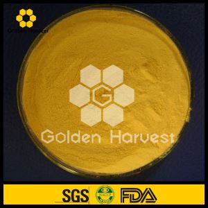 Bee Pollen Extract Powder