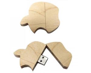 Apple Shape Wooden USB Disk