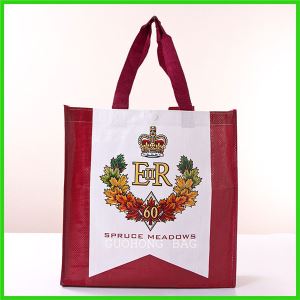 Recyclable Pp Woven Tote Bag