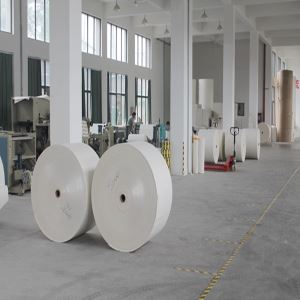 Two Sides PE Coated Paper