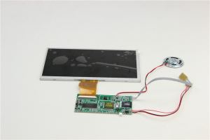 7 Segment LCD Module