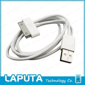 iPhone 4s Data Cable