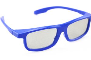 3D Linear Polarized Eyewear Plastic Frame