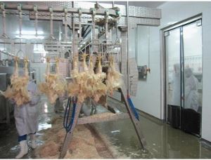 Poultry Hair Removal Machine