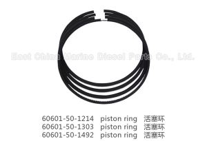 Cylinder Unit Piston Ring