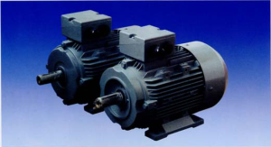 Three-phase A.C Induction Micromotors Series Y-H