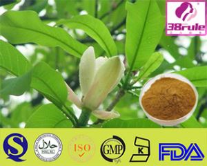 HIgh Purify Corydalis Tuber Extract