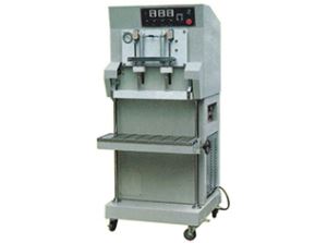 DZQ-600L Vertical Air-out Vacuum Packager