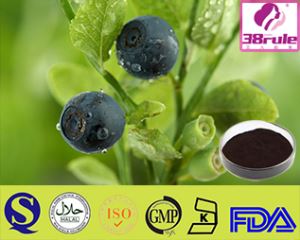 Non-toxic And Natural Growth Bilberry Extract