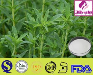 Professional Supplier And GMP Factory Of Stevia Extract powder