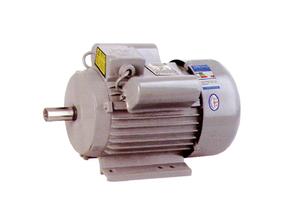 YL Series Single Phase Induction Motor