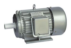 Variable-speed Three-phase Asynchronous Motor