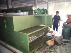 DWT Series Dehydrated Vegetables Dryer