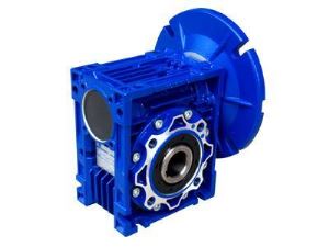 Double RV Series Worm Gear Reducer