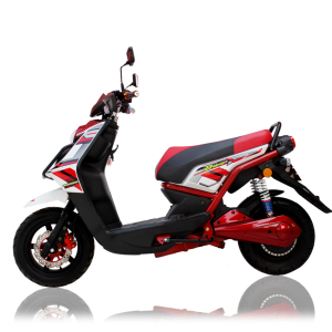 Electric Scooter 1500w