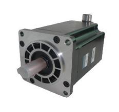 A-2-phase 110 Series Motor