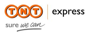 TNT international express worldwide economy service