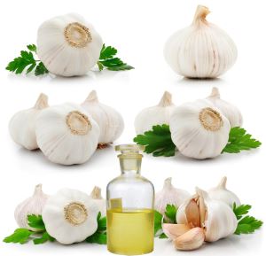 Natural Garlic Oil supplier,Natural Garlic Oil,Natural Garlic Oil manufacture,CAS 8000-78-0, Garlic Oil, FCC Standard Garlic Oil