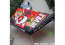 Outdoor customized Canopy