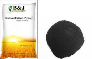 seaweed Extract Powder