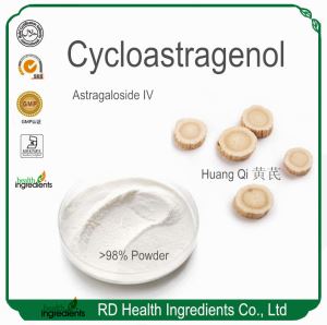 Astragalus Cycloastragenol