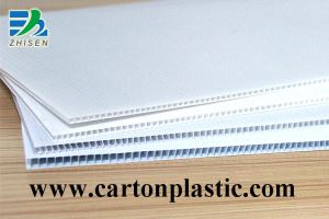Corrugated Plastic Printed Sheets