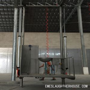 Cattle Abattoir Dual-Pillar Pneumatic Elevator