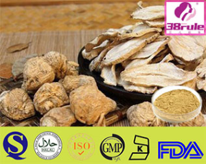 Standard And GMP Certificate Chinese High Quality Maca Extract