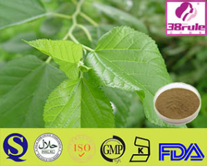 Natural Mulberry Leaf Extract