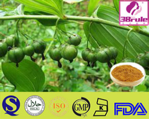 Natural And Pure Sealwort Extract