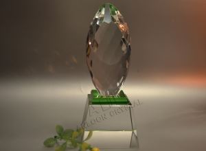 Crystal Fancy Cut Award