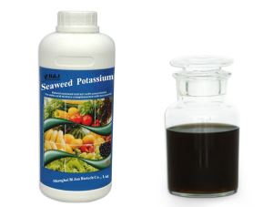 Seaweed Potassium Biofertilizer