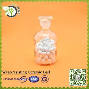Wear Resisting Ceramic Ball